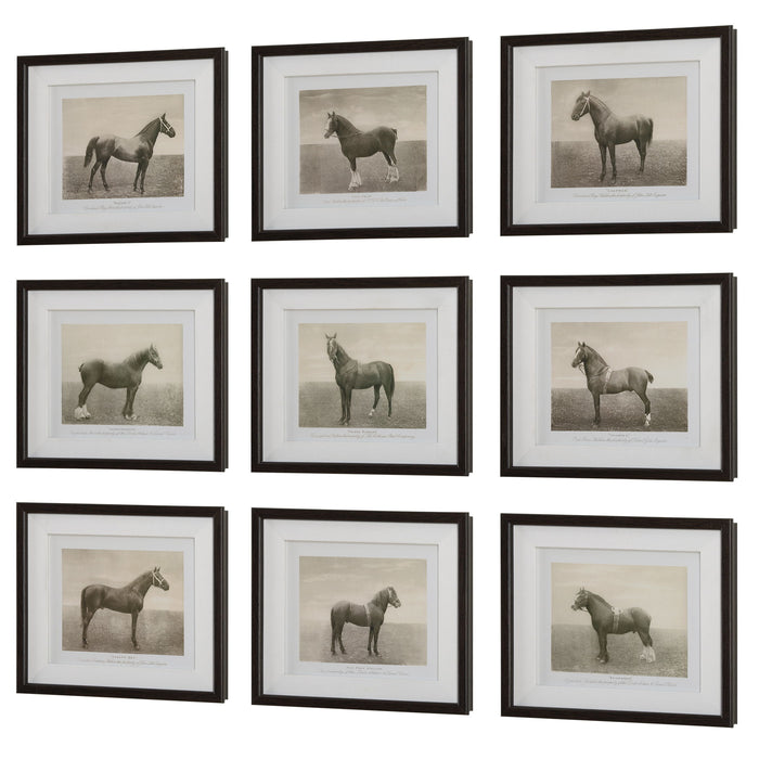 Equine Dynasty - Framed Prints (Set of 9)