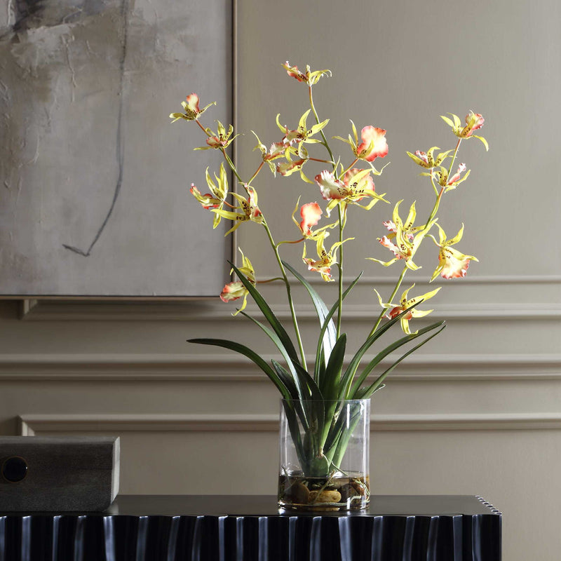 Spider - Orchid In Glass Vase - Green,Pink,Yellow