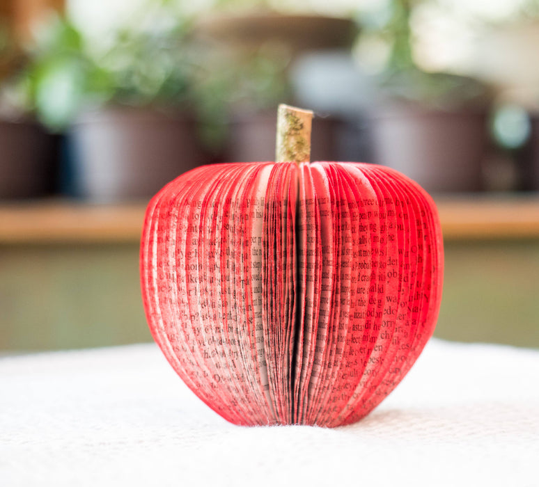 Book Apple Red-Teacher and Book Lover Gift-Paper Anniversary