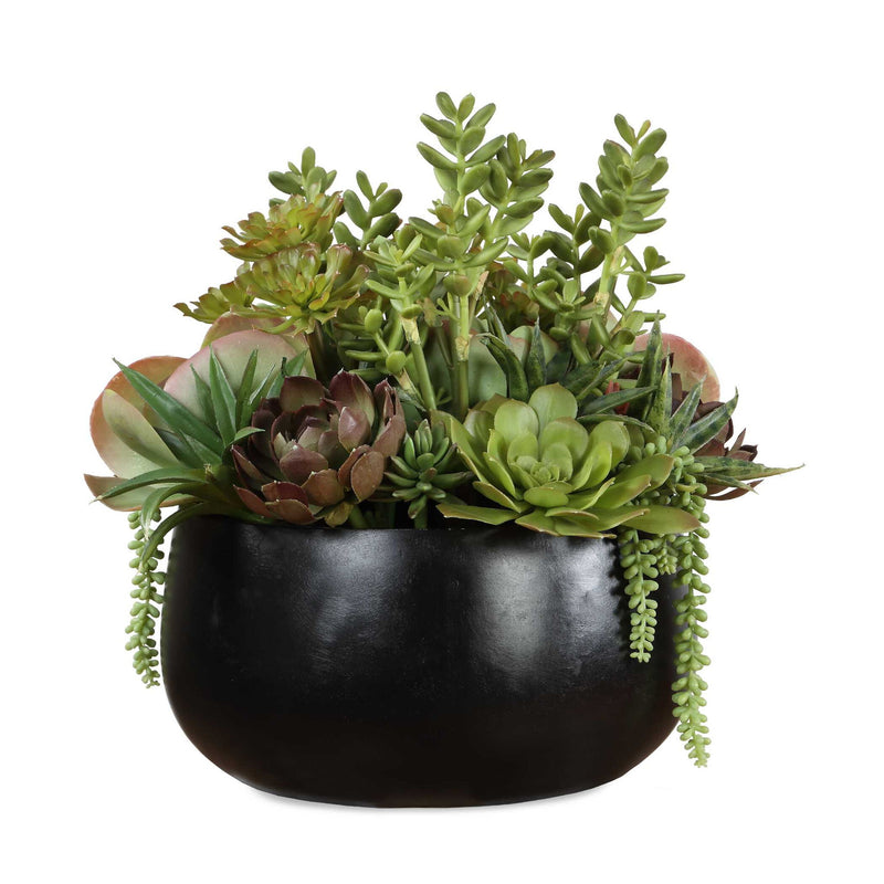 Mico - Indoor-Outdoor Succulent Centerpiece - Black,Green