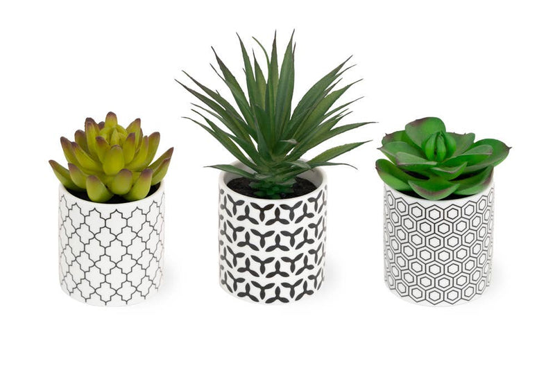 6.5" Tall Faux Geometric Flower Succulents Set of 3 Plants