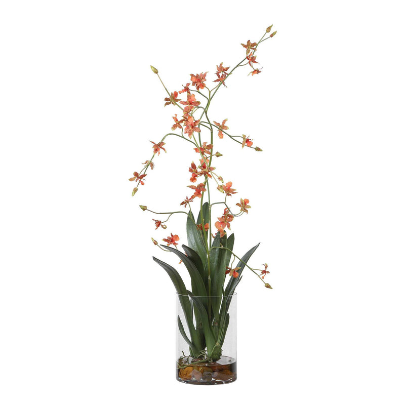 Dancing - Orchid In Glass Vase - Green,Orange