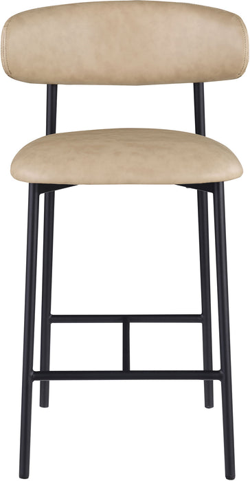 Lupita - Counter Stool (Set of 2)