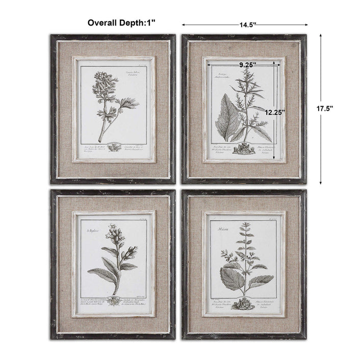 Casual Gray Study - Framed Art (Set of 4) - Beige