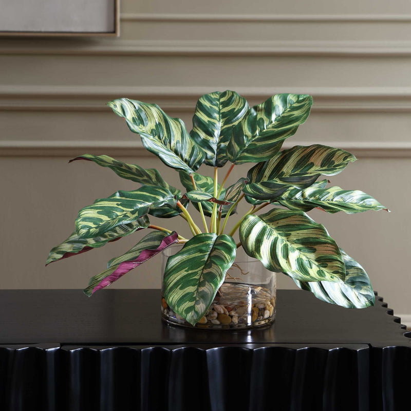 Peacock - Plant Accent - Green