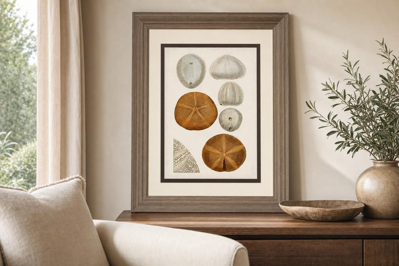 34x40 Coastal Curiosity II By Unknown - Beige