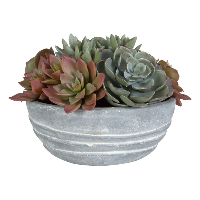 Peoria - Succulent Accent - Gray