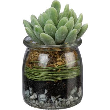 Jade Succulent Jar