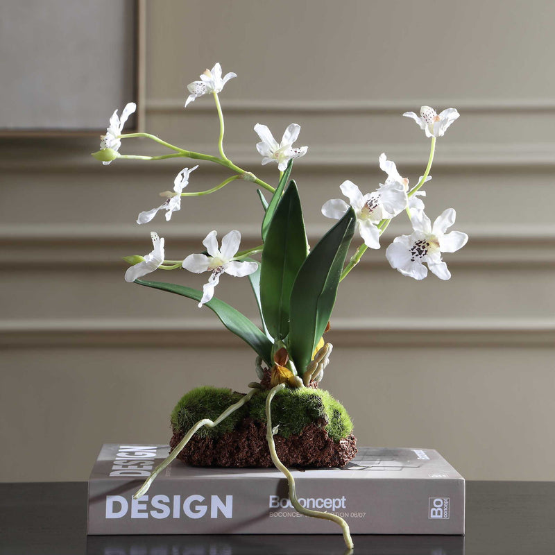 Clovis - Orchid Drop-In - White