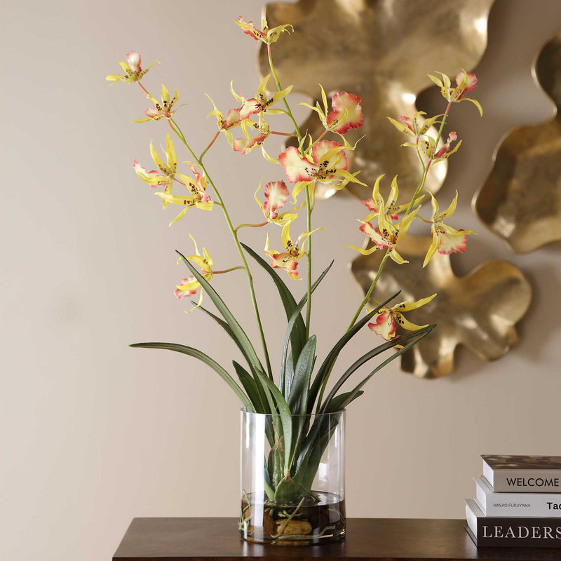 Spider - Orchid In Glass Vase - Green,Pink,Yellow