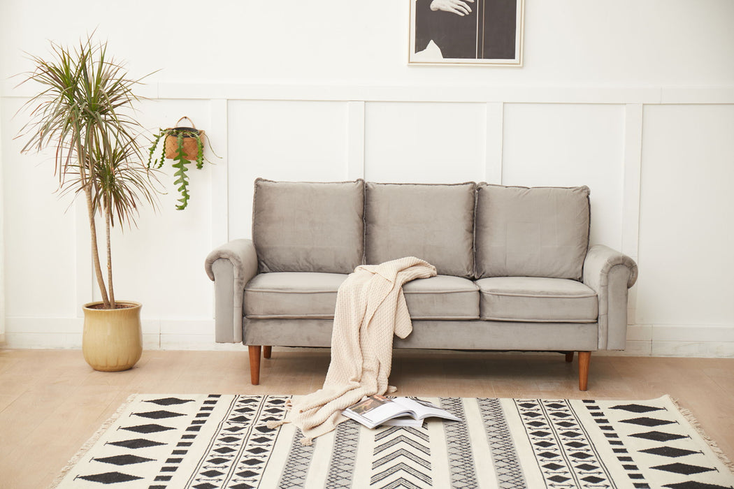 Graceful Design Plush Comfort Sofa