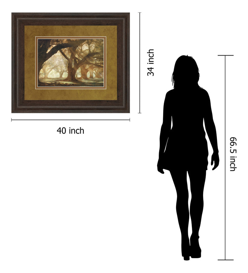 Oak Alley Morning Light By William Guion - Framed Print Wall Art - Light Brown