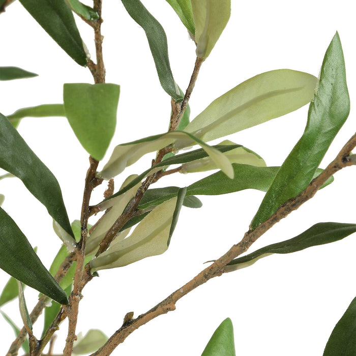 Abundance - Potted Olive Tree - Black