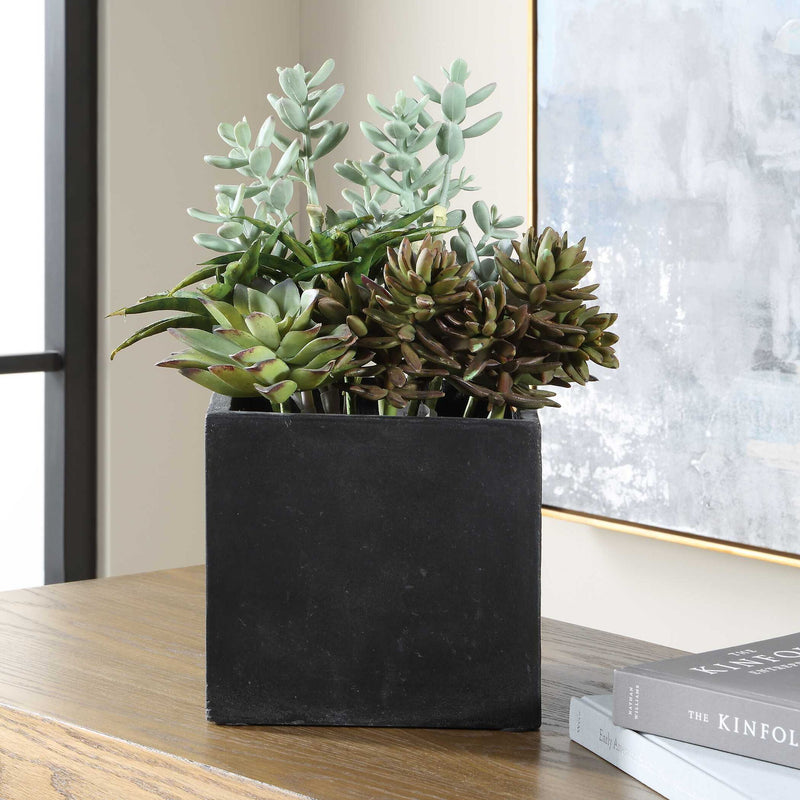 Greystone - Indoor-Outdoor Succulent - Green