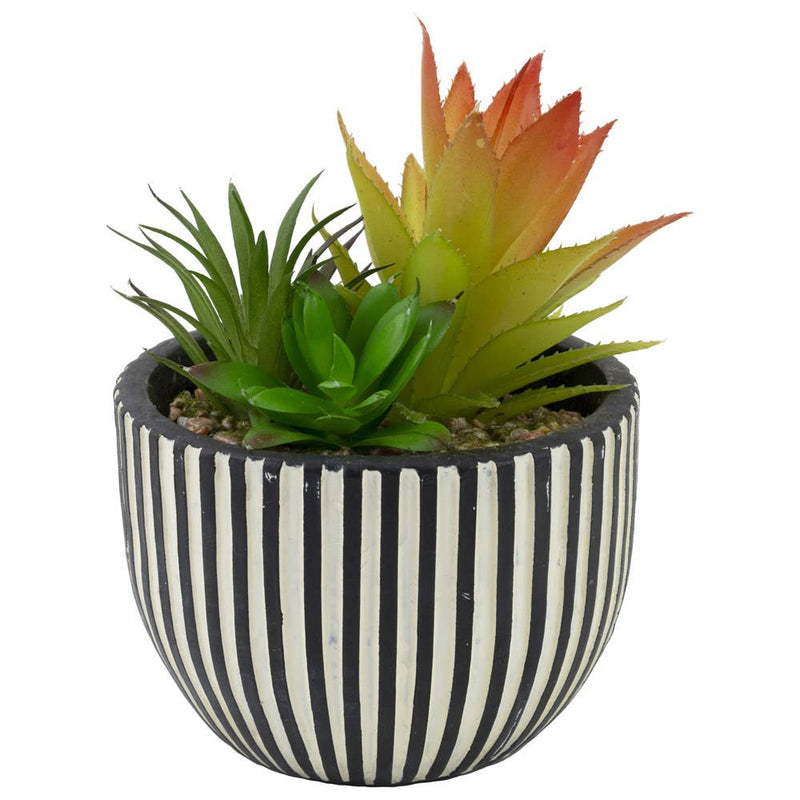 6.5" Tall Faux Succulent Array Striped Plant