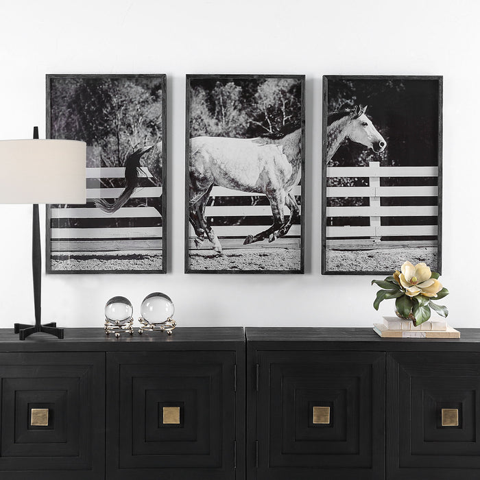 Galloping - Forward Equine Prints (Set of 3)