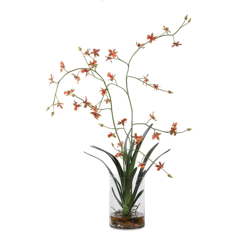 Dancing - Orchid In Glass Vase - Green,Orange