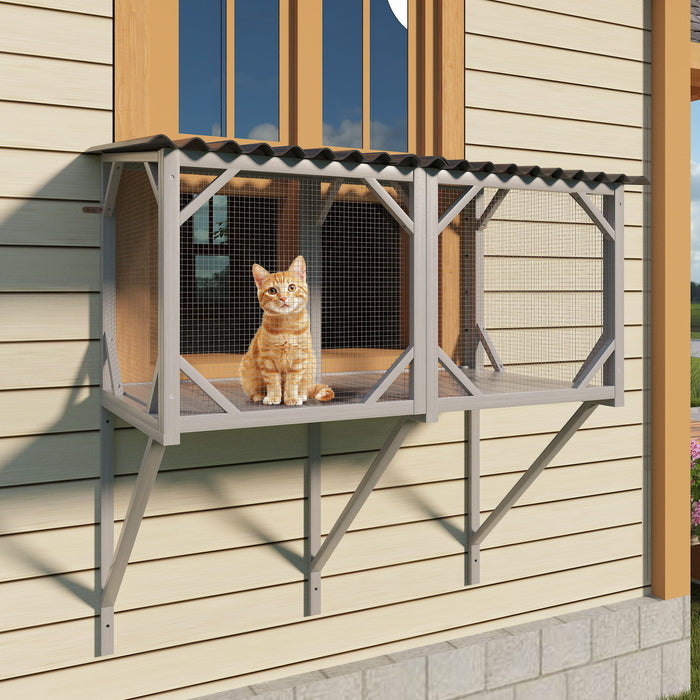 Cat Window Box