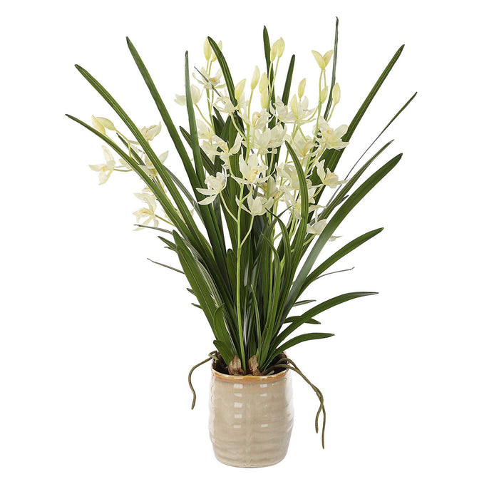 Ariana Orchid - Planter - Gray