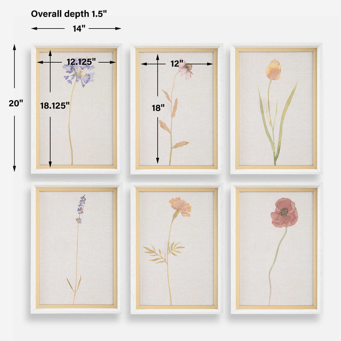 Wild Flourish - Framed Floral Prints (Set of 6) - Light Brown