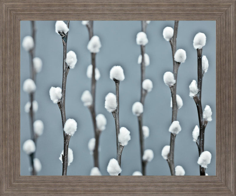 Winter Willow - 28" x 34" Framed Wall Art - Gray