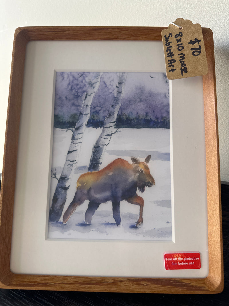Adventure Brushstrokes