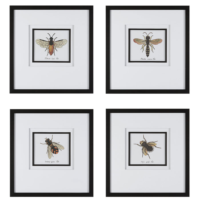 Anthophila - Framed Prints (Set of 4) - Black