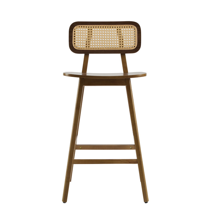 Bari - Indoor Wood Barstool (Set of 2)