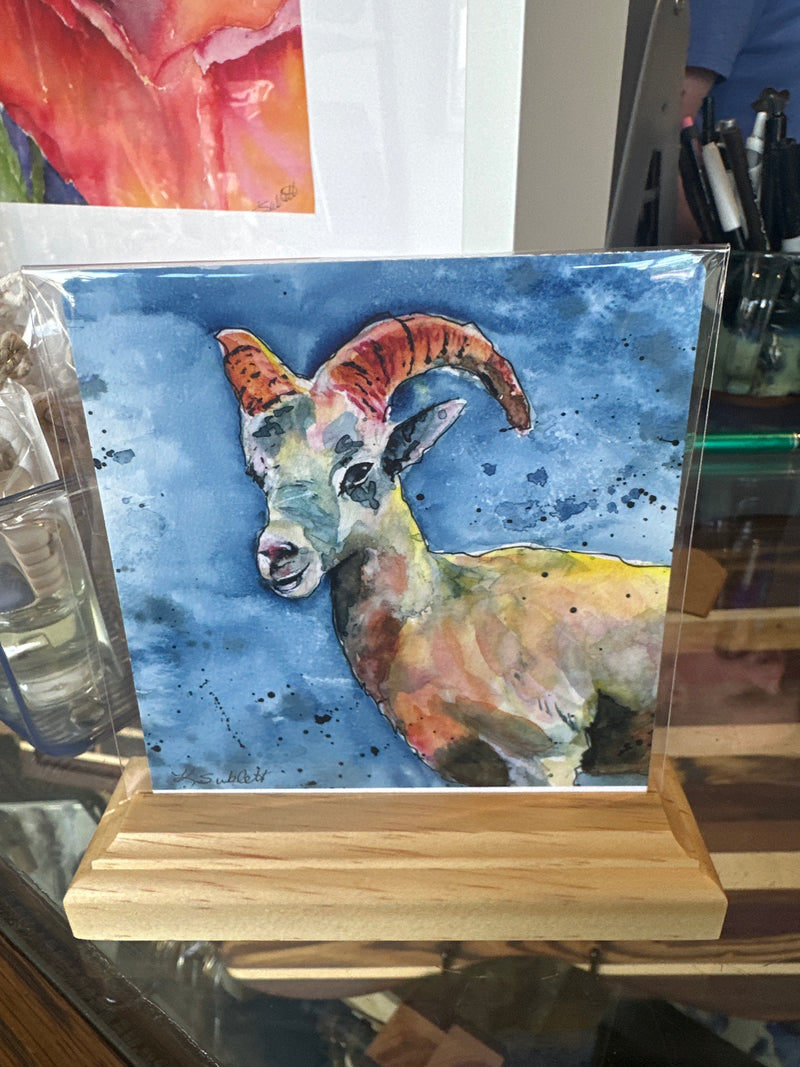 Adventure Brushstrokes