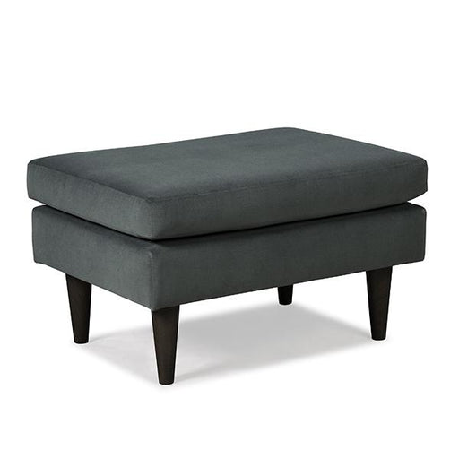 F10 LEATHER OTTOMAN- F10BGLU image