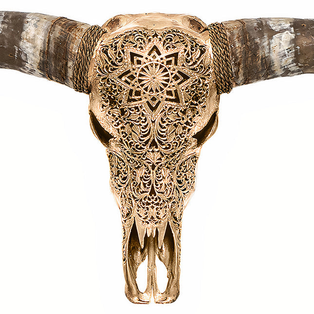 Skull Bliss | Hand Carved Longhorn Skull | Golden Mandala