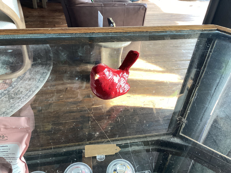 Red Bird Cardinal