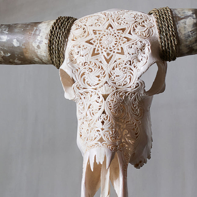 Skull Bliss | Hand Carved Longhorn Skull - White Mandala