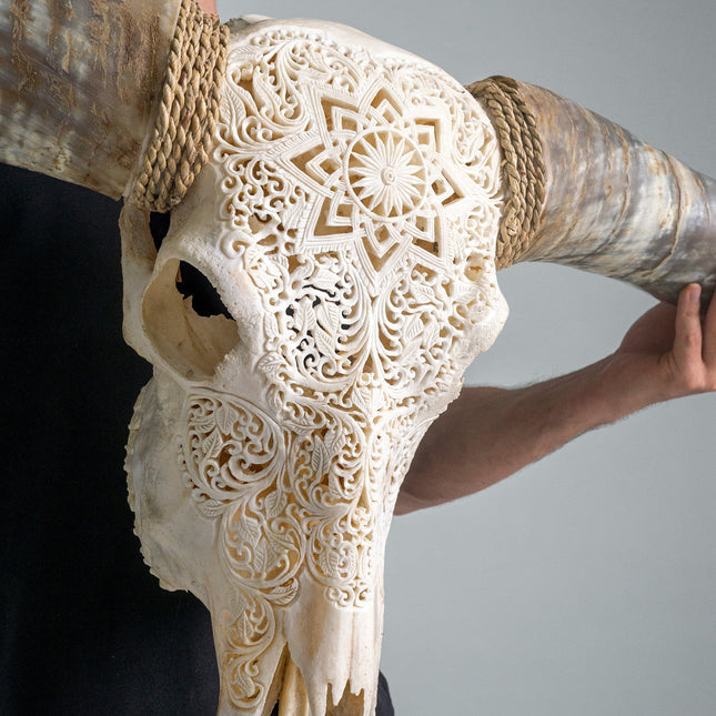 Skull Bliss | Hand Carved Longhorn Skull - White Mandala