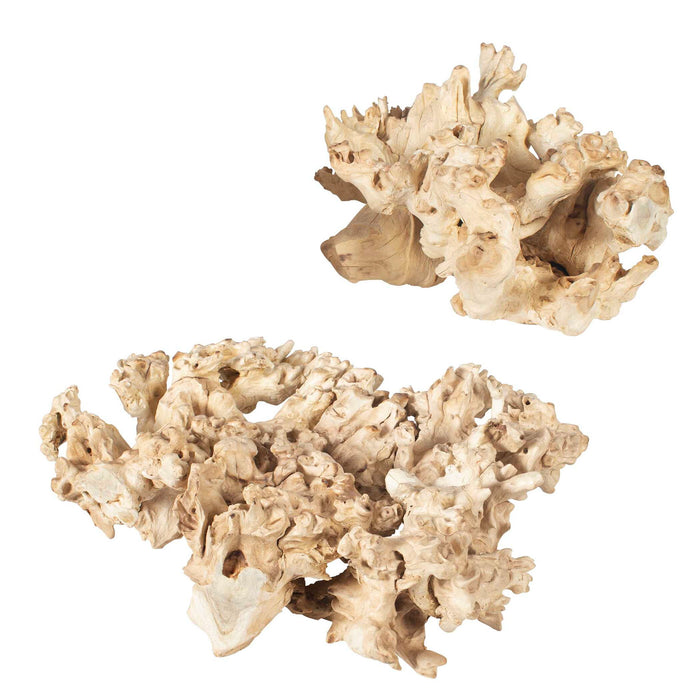 Elemental Root - Outdoor Sculptures (Set of 2) - White