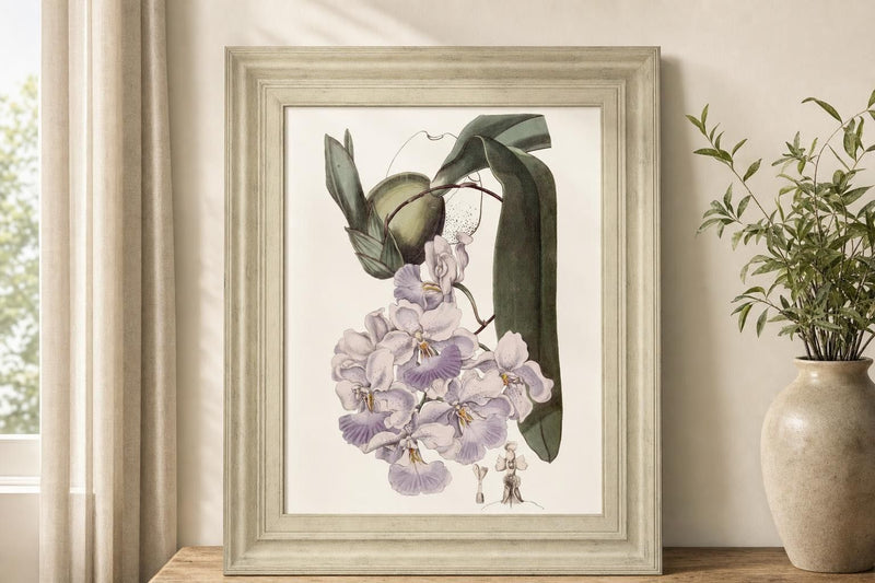 22x26 Lavender Beauties V By Edwards - Pink