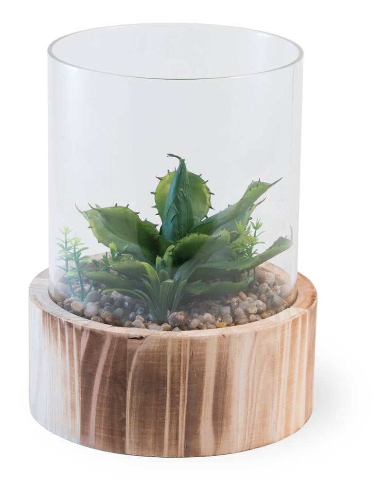 Cactus Terrarium Faux Décor