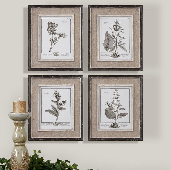 Casual Grey Study - Framed Art (Set of 4) - Beige