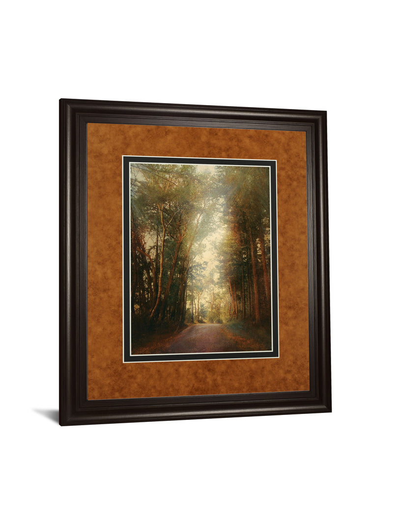 Road Of Mysteries Il By Amy Melious - Framed Print Wall Art - Light Brown