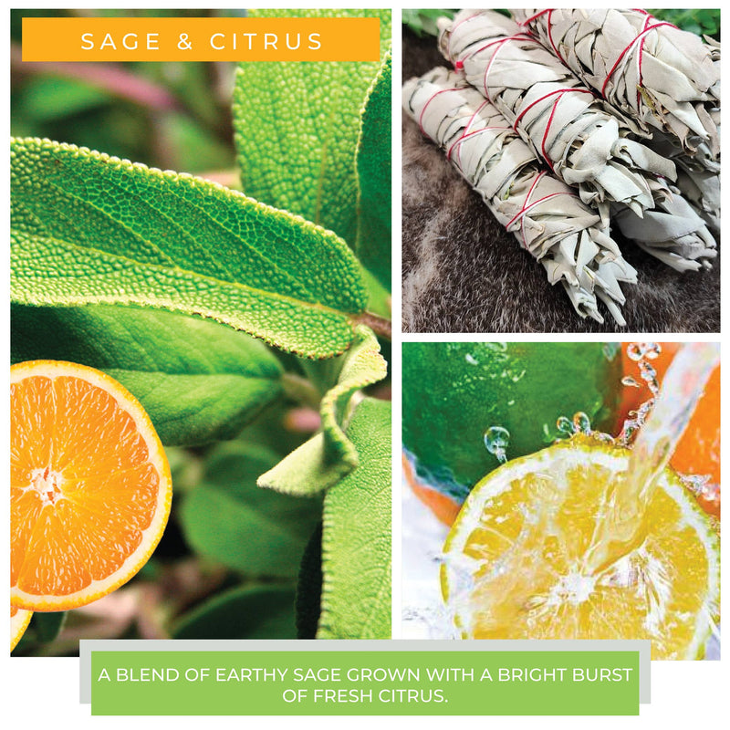KOTL Papa Candle (34oz.) – Sage & Citrus