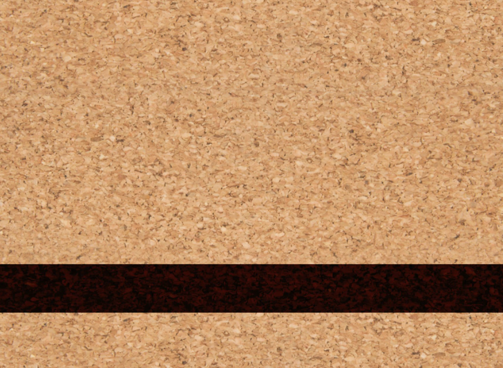 Table Rock Lake Name Bottle Opener - Leatherette