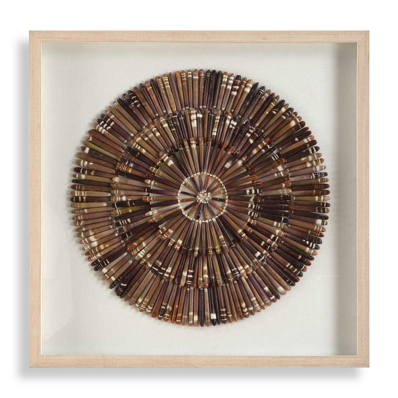 Tiger Sea Urchin - Shadow Box - Brown
