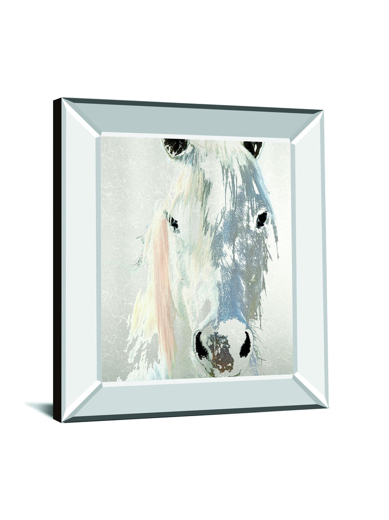 Sage By Marvin Pelkey - Mirror Framed Print Wall Art - Gray