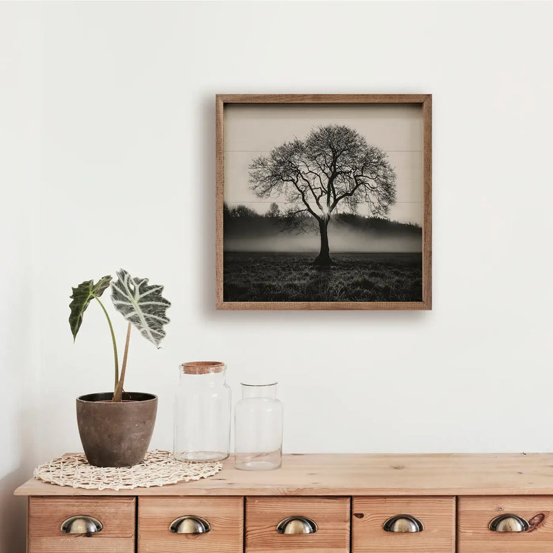 Alone Tree Picture
