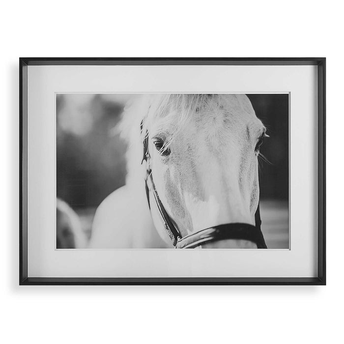 Eyes On The Prize - Framed Print - White