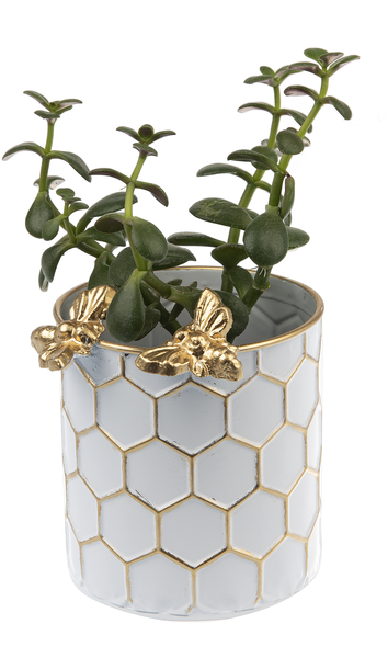 White & Gold Honeycomb Planter with Bee