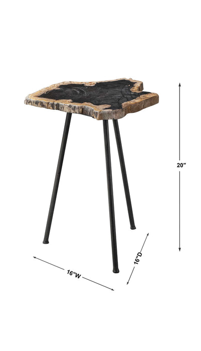 Mircea - Petrified Wood Accent Table - Black & Light Brown