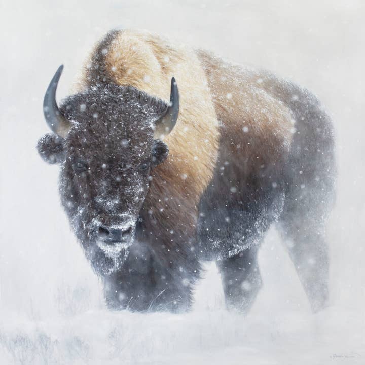 Whiteout - Yellowstone Bison in Winter - Animal Art Print | 36x36