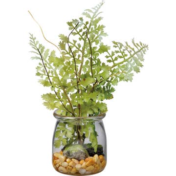 Maidenhair Fern Jar