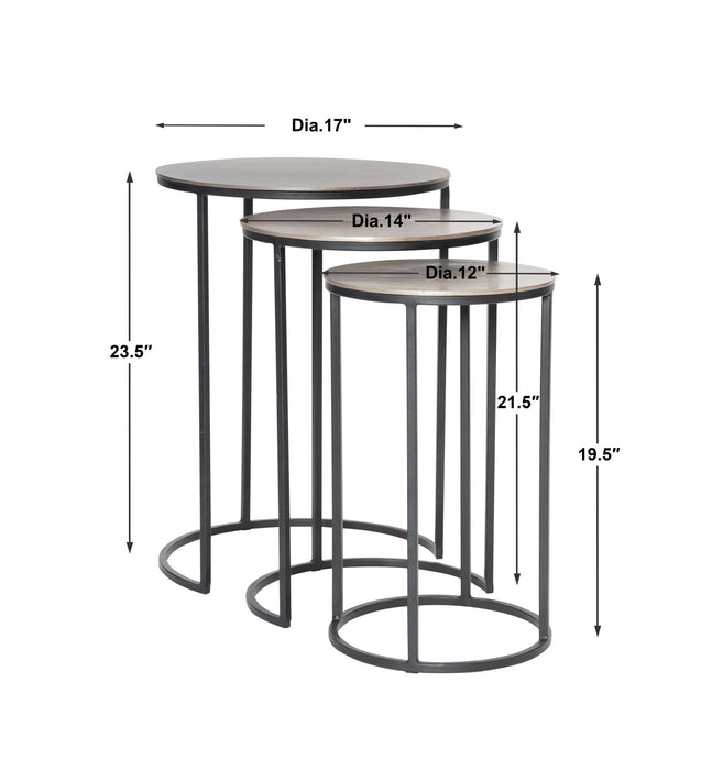 Erik - Metal Nesting Tables (Set of 3) - Dark Gray